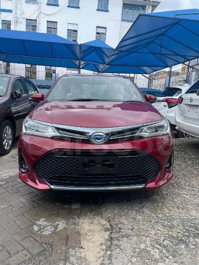 Toyota Axio Hybrid