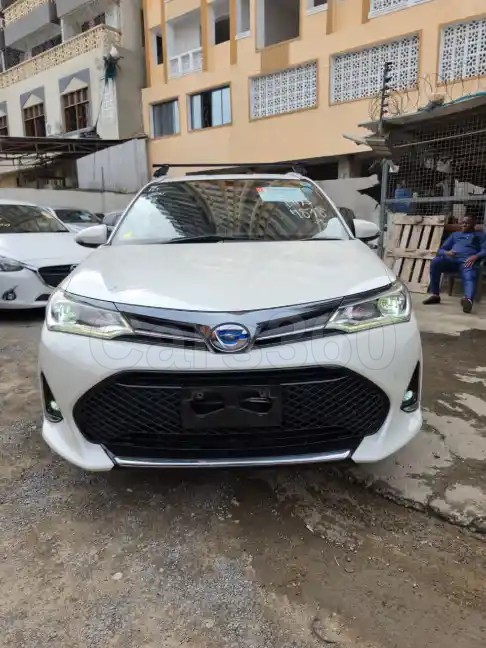 Toyota Fielder WXB